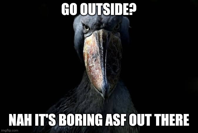The W | GO OUTSIDE? NAH IT'S BORING ASF OUT THERE | image tagged in the w | made w/ Imgflip meme maker