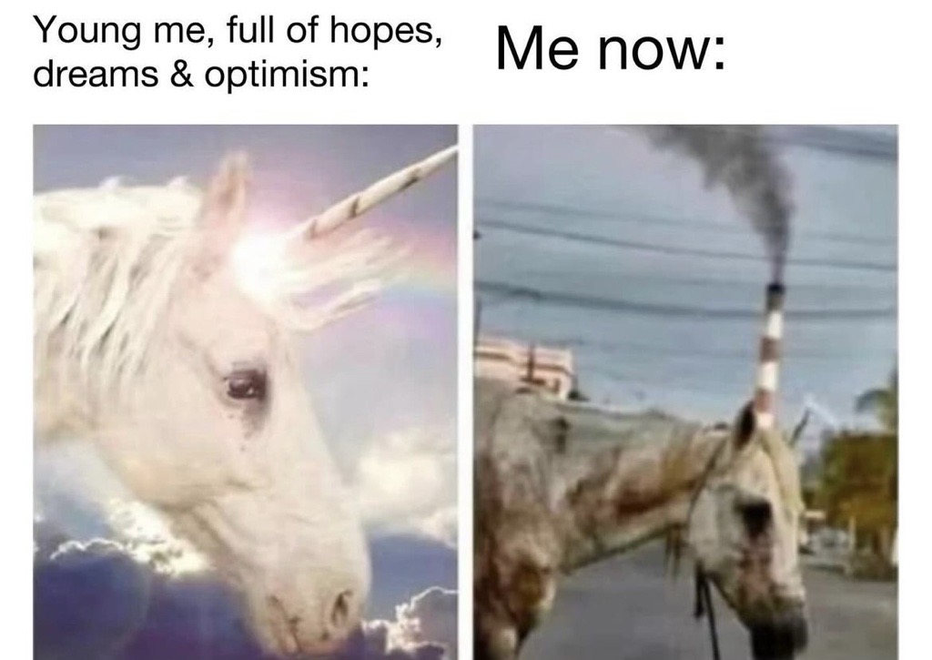 unicorn Blank Meme Template