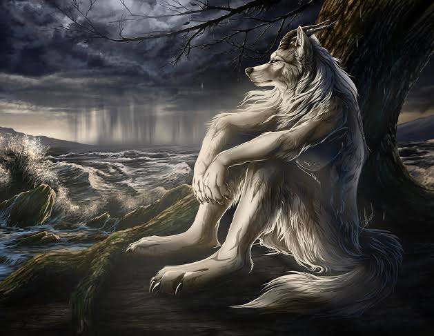 Aplha wolf Blank Meme Template