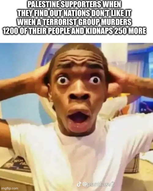 They are shocked by this info | PALESTINE SUPPORTERS WHEN THEY FIND OUT NATIONS DON’T LIKE IT WHEN A TERRORIST GROUP MURDERS 1200 OF THEIR PEOPLE AND KIDNAPS 250 MORE | image tagged in shocked black guy,israel,palestine | made w/ Imgflip meme maker