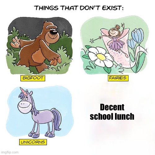Things That Don't Exist | Decent school lunch | image tagged in things that don't exist | made w/ Imgflip meme maker