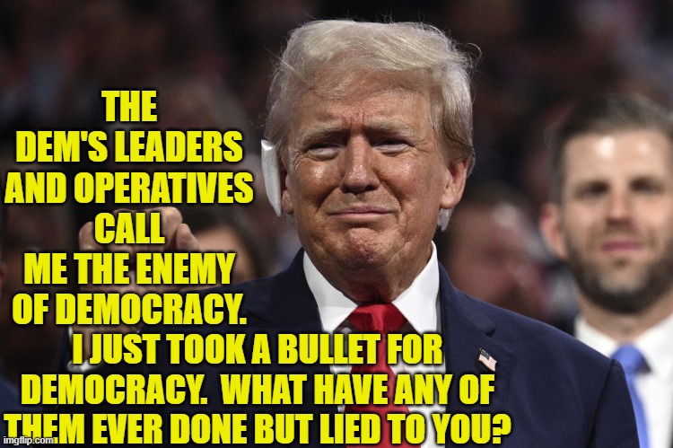 Fair question. | THE DEM'S LEADERS AND OPERATIVES CALL ME THE ENEMY OF DEMOCRACY. I JUST TOOK A BULLET FOR DEMOCRACY.  WHAT HAVE ANY OF THEM EVER DONE BUT LIED TO YOU? | image tagged in yep | made w/ Imgflip meme maker