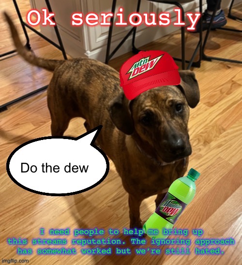 Do the dew | Ok seriously; I need people to help me bring up this streams reputation. The ignoring approach has somewhat worked but we’re still hated. | image tagged in do the dew | made w/ Imgflip meme maker