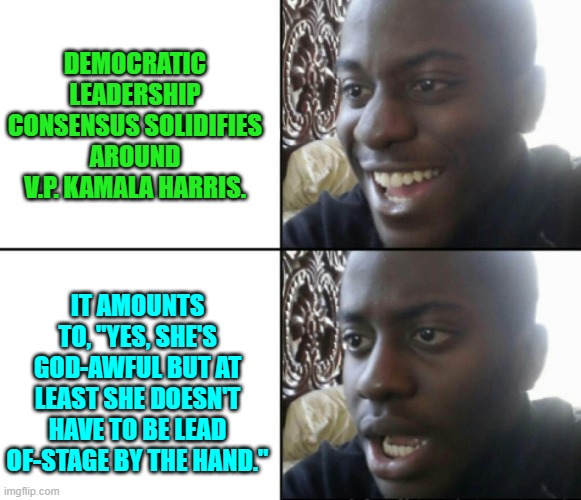Best of luck to you Democrats.  Next time . . . vote intelligently. | DEMOCRATIC LEADERSHIP CONSENSUS SOLIDIFIES AROUND V.P. KAMALA HARRIS. IT AMOUNTS TO, "YES, SHE'S GOD-AWFUL BUT AT LEAST SHE DOESN'T HAVE TO BE LEAD OF-STAGE BY THE HAND." | image tagged in happy / shock | made w/ Imgflip meme maker