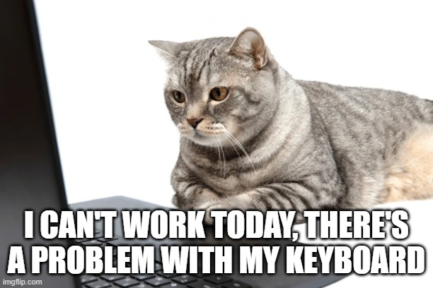 cat | I CAN'T WORK TODAY, THERE'S A PROBLEM WITH MY KEYBOARD | image tagged in cat | made w/ Imgflip meme maker