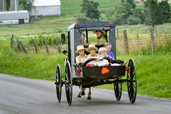 amish buggy kids Blank Meme Template