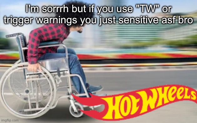 Hot wheels | I'm sorrrh but if you use "TW" or trigger warnings you just sensitive asf bro | image tagged in hot wheels | made w/ Imgflip meme maker