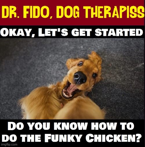 Is your dog nervous, depressed or just weird? Dr. Fido can help... | image tagged in vince vance,dogs,memes,therapist,funky chicken,ruff | made w/ Imgflip meme maker