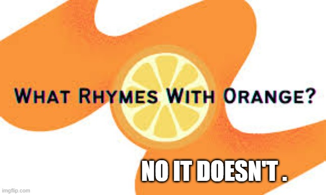 memes by Brad - nothing rhymes with orange | NO IT DOESN'T . | image tagged in funny,fun,rhymes,play on words,orange,humor | made w/ Imgflip meme maker