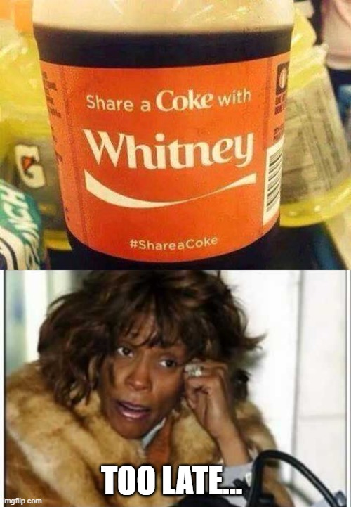 Coke with Whitney | TOO LATE... | image tagged in whitney houston | made w/ Imgflip meme maker