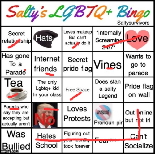 The Pride Bingo | image tagged in the pride bingo | made w/ Imgflip meme maker