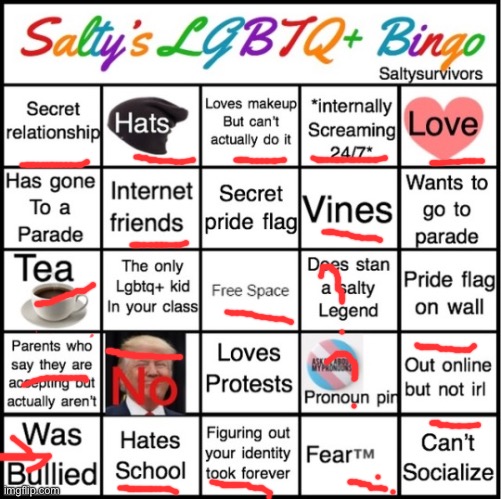 IS bullied | image tagged in the pride bingo | made w/ Imgflip meme maker