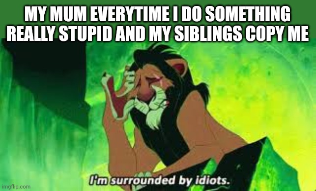 Why?!? | MY MUM EVERYTIME I DO SOMETHING REALLY STUPID AND MY SIBLINGS COPY ME | image tagged in i'm surrounded by idiots | made w/ Imgflip meme maker