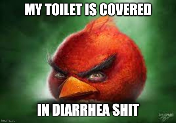 diarrhea | MY TOILET IS COVERED; IN DIARRHEA SHIT | image tagged in realistic red angry birds | made w/ Imgflip meme maker