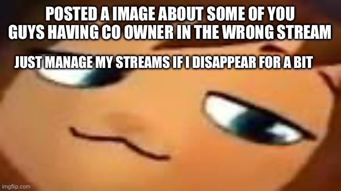 smug hat kid.mp4 | POSTED A IMAGE ABOUT SOME OF YOU GUYS HAVING CO OWNER IN THE WRONG STREAM; JUST MANAGE MY STREAMS IF I DISAPPEAR FOR A BIT | image tagged in smug hat kid mp4 | made w/ Imgflip meme maker