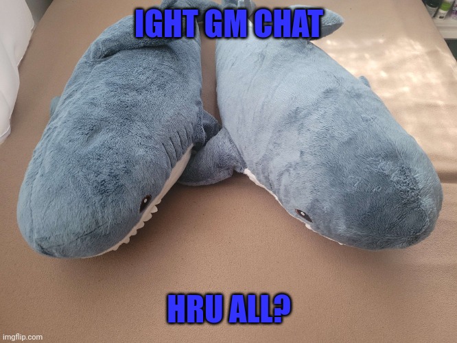 My brother's and my blahaj | IGHT GM CHAT; HRU ALL? | image tagged in my brother's and my blahaj | made w/ Imgflip meme maker