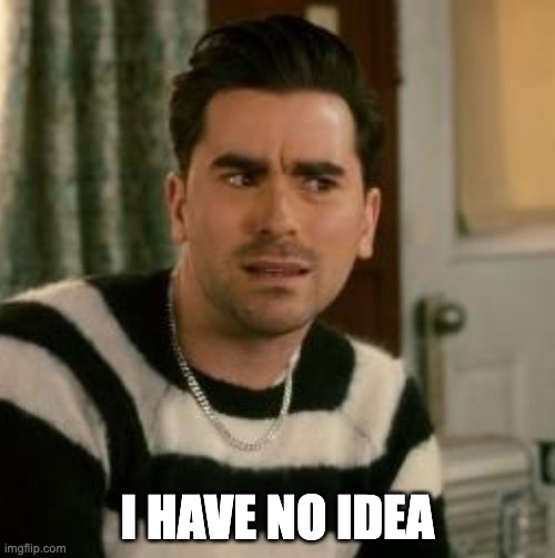 David Rose | I HAVE NO IDEA | image tagged in david rose | made w/ Imgflip meme maker