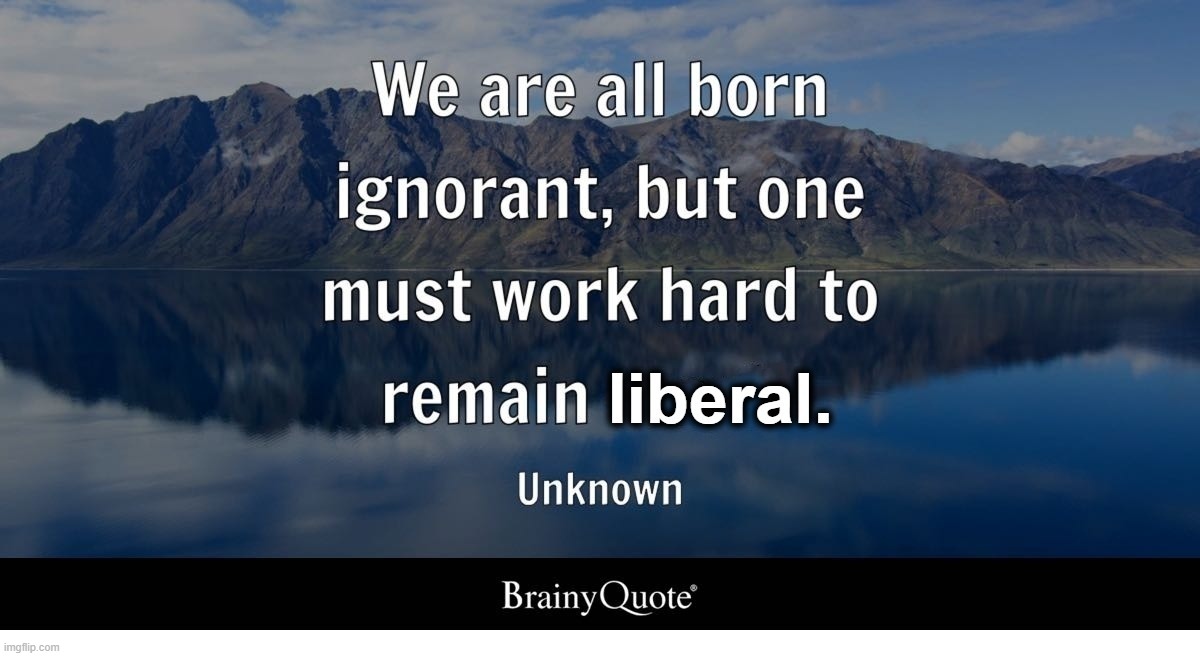 We are all born ignorant, but one must work hard to remain stupid. Or liberal. | image tagged in ignorance,ignorance is bliss,stupid liberals,goofy stupid liberal college student,sjw triggered,stupid people be like | made w/ Imgflip meme maker