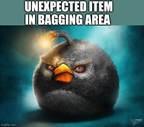 Airport | UNEXPECTED ITEM IN BAGGING AREA | image tagged in realistic bomb angry bird | made w/ Imgflip meme maker