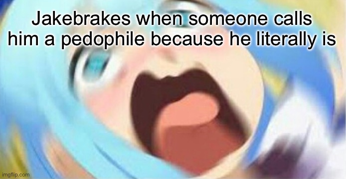 Aqua crying | Jakebrakes when someone calls him a pedophile because he literally is | image tagged in aqua crying | made w/ Imgflip meme maker