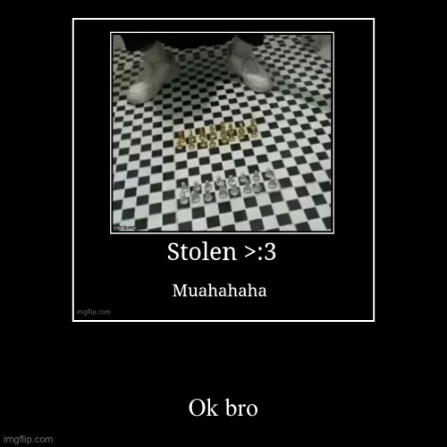 Ok bro | image tagged in funny,demotivationals | made w/ Imgflip demotivational maker