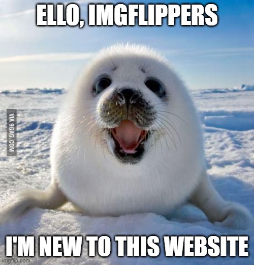 Advice about this website is heavily appreciated, so feel free to post in comments | ELLO, IMGFLIPPERS; I'M NEW TO THIS WEBSITE | image tagged in seal of approval | made w/ Imgflip meme maker