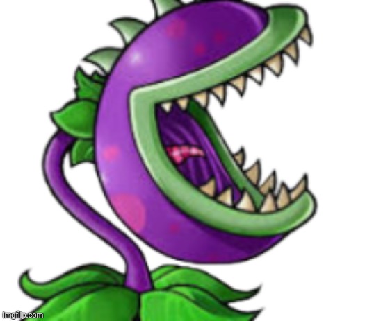 Chomper | image tagged in chomper | made w/ Imgflip meme maker