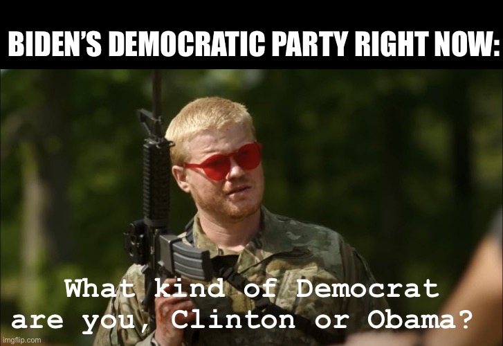 Democrats | BIDEN’S DEMOCRATIC PARTY RIGHT NOW:; What kind of Democrat are you, Clinton or Obama? | image tagged in what kind of american are you,clinton,democrats,obama,political meme,politics | made w/ Imgflip meme maker
