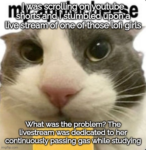 I don't have the link btw, I didn't manage to copy it | I was scrolling on youtube shorts and I stumbled upon a live stream of one of those lofi girls; What was the problem? The livestream was dedicated to her continuously passing gas while studying | image tagged in my apolocheese | made w/ Imgflip meme maker