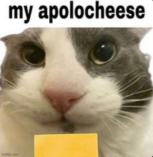 my apolocheese | image tagged in my apolocheese | made w/ Imgflip meme maker