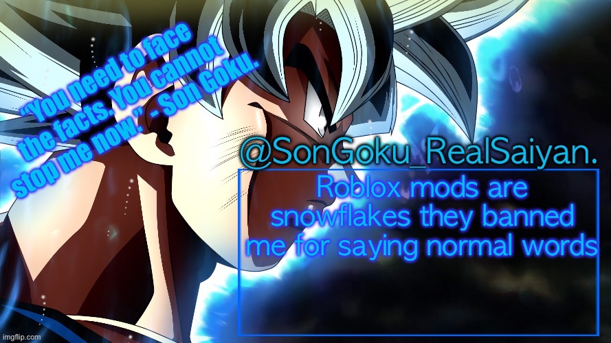 I just might never play Roblox AGAIN | Roblox mods are snowflakes they banned me for saying normal words | image tagged in songoku_realsaiyan temp v3 | made w/ Imgflip meme maker