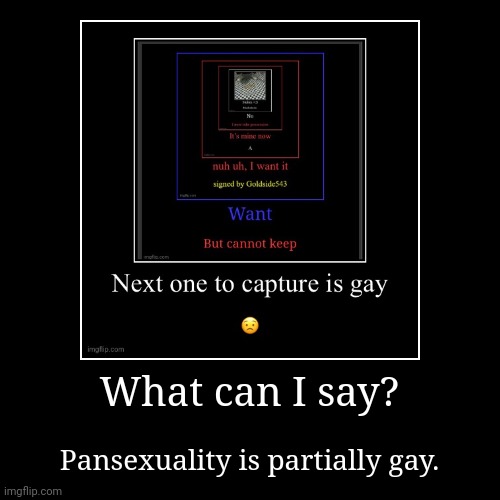 And oh boy, am I gay rn | What can I say? | Pansexuality is partially gay. | image tagged in funny,demotivationals | made w/ Imgflip demotivational maker