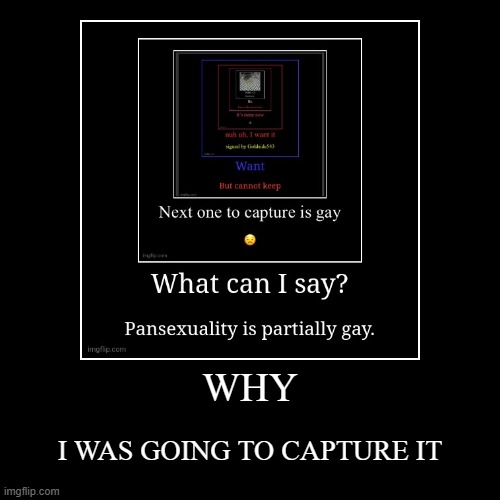 WHY | I WAS GOING TO CAPTURE IT | image tagged in funny,demotivationals | made w/ Imgflip demotivational maker