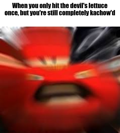 BRRRRUFJDJSJSSMX | When you only hit the devil's lettuce once, but you're still completely kachow'd | image tagged in lightning mcqueen | made w/ Imgflip meme maker