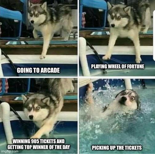 The worst part? They were all real tickets, not tickets on a card or smth like that :u; | PLAYING WHEEL OF FORTUNE; GOING TO ARCADE; WINNING 905 TICKETS AND GETTING TOP WINNER OF THE DAY; PICKING UP THE TICKETS | image tagged in the four stages of a husky mistake | made w/ Imgflip meme maker