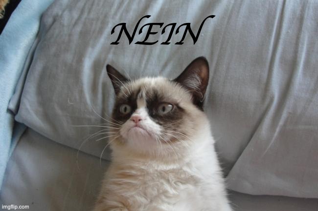 NEIN | NEIN | image tagged in nein,grumpy cat | made w/ Imgflip meme maker