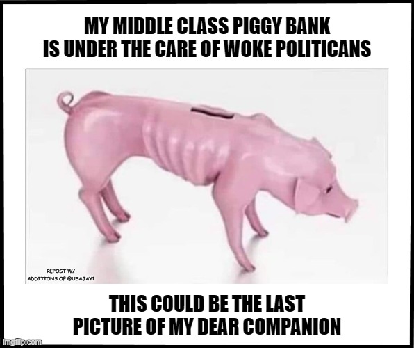 MY MIDDLE CLASS PIGGY BANK IS UNDER THE CARE OF WOKE POLITICANS; THIS COULD BE THE LAST PICTURE OF MY DEAR COMPANION; REPOST W/ ADDITIONS OF @USAJAY1 | made w/ Imgflip meme maker