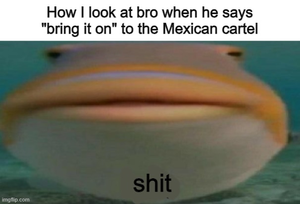 YOU DOOMED US ALL | How I look at bro when he says "bring it on" to the Mexican cartel; shit | image tagged in helo,billy what have you done,oh no,oh fuck,oh shit,mafia | made w/ Imgflip meme maker