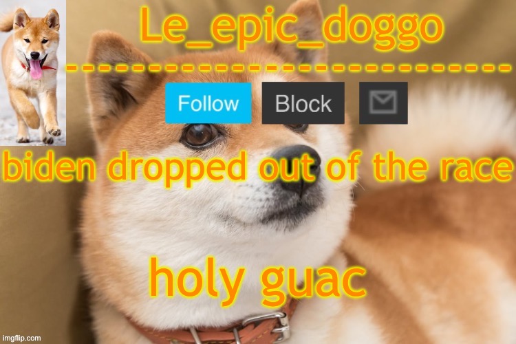 epic doggo's temp back in old fashion | biden dropped out of the race; holy guac | image tagged in epic doggo's temp back in old fashion | made w/ Imgflip meme maker