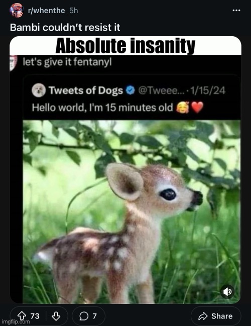 Pretty weird looking dog | made w/ Imgflip meme maker