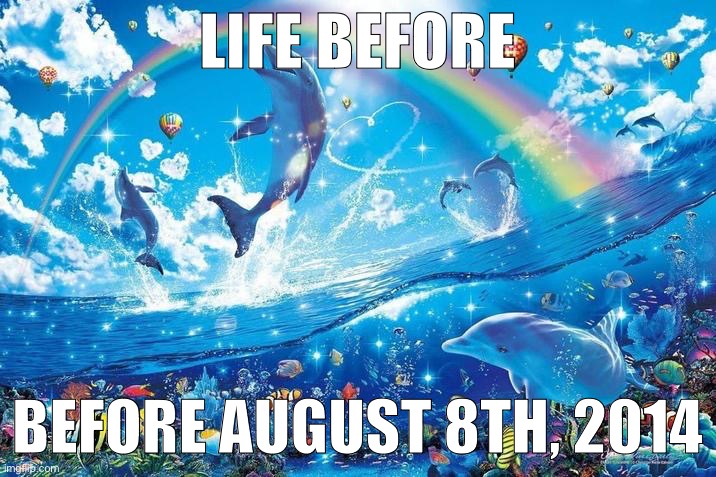 Happy dolphin rainbow | LIFE BEFORE; BEFORE AUGUST 8TH, 2014 | image tagged in happy dolphin rainbow | made w/ Imgflip meme maker