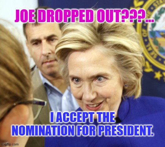 Alien Hillary | JOE DROPPED OUT???... I ACCEPT THE NOMINATION FOR PRESIDENT. | image tagged in alien hillary | made w/ Imgflip meme maker