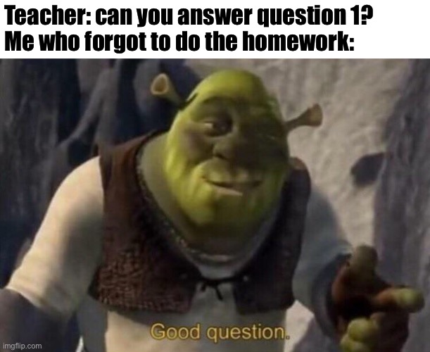 Shrek good question | Teacher: can you answer question 1?
Me who forgot to do the homework: | image tagged in shrek good question | made w/ Imgflip meme maker
