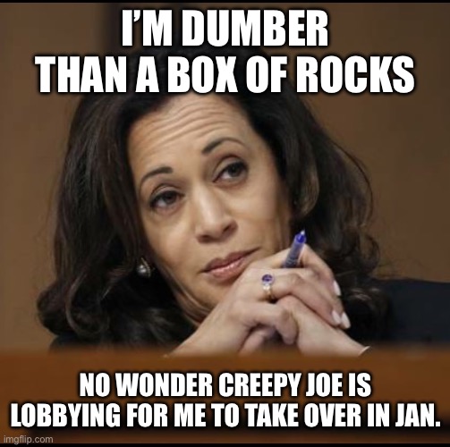 Kamala Harris  | I’M DUMBER THAN A BOX OF ROCKS; NO WONDER CREEPY JOE IS LOBBYING FOR ME TO TAKE OVER IN JAN. | image tagged in kamala harris | made w/ Imgflip meme maker