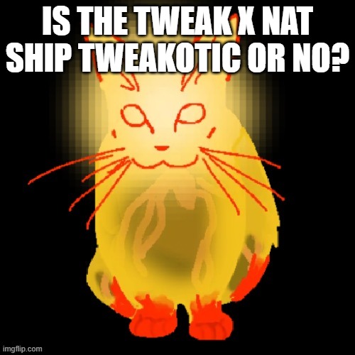 Sisyphus prime cat | IS THE TWEAK X NAT SHIP TWEAKOTIC OR NO? | image tagged in sisyphus prime cat | made w/ Imgflip meme maker