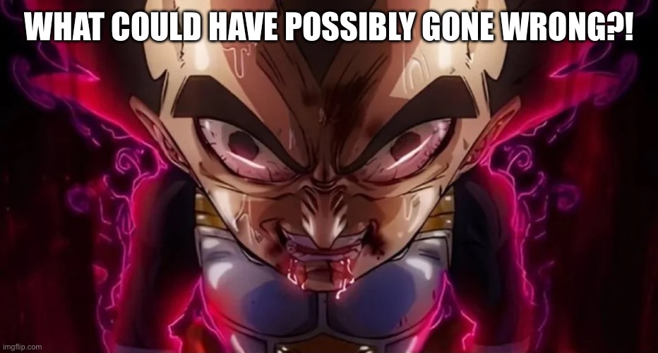 vegeta drool | WHAT COULD HAVE POSSIBLY GONE WRONG?! | image tagged in vegeta drool | made w/ Imgflip meme maker