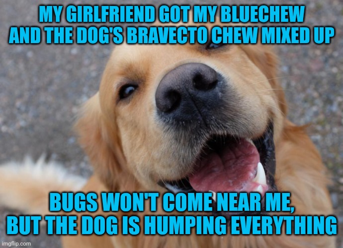 ? | MY GIRLFRIEND GOT MY BLUECHEW AND THE DOG'S BRAVECTO CHEW MIXED UP; BUGS WON'T COME NEAR ME, BUT THE DOG IS HUMPING EVERYTHING | made w/ Imgflip meme maker