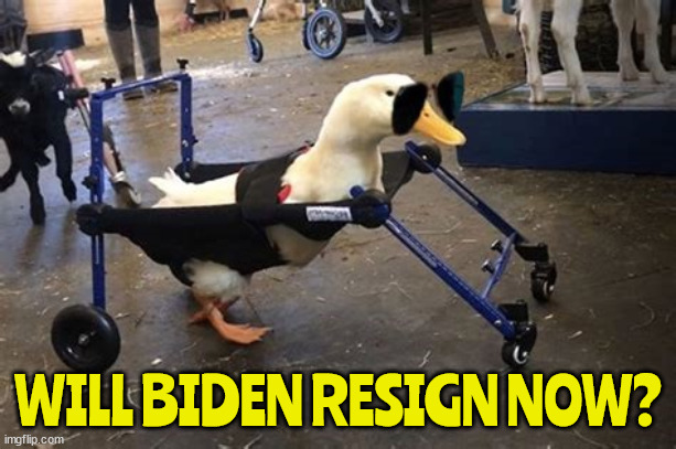 Lame duck Biden | WILL BIDEN RESIGN NOW? | image tagged in lame duck,no mo jo,waddle along now,maga wins | made w/ Imgflip meme maker