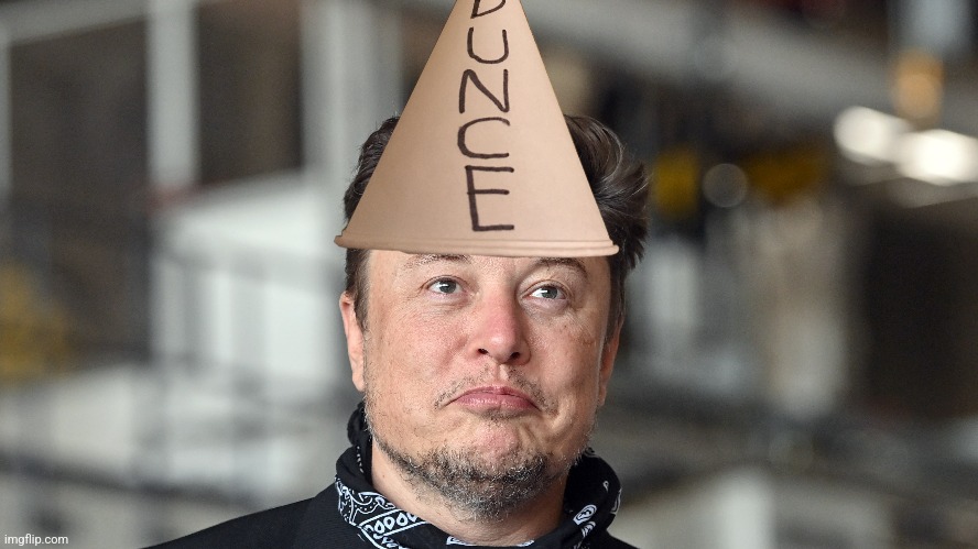 How I see Musk | made w/ Imgflip meme maker