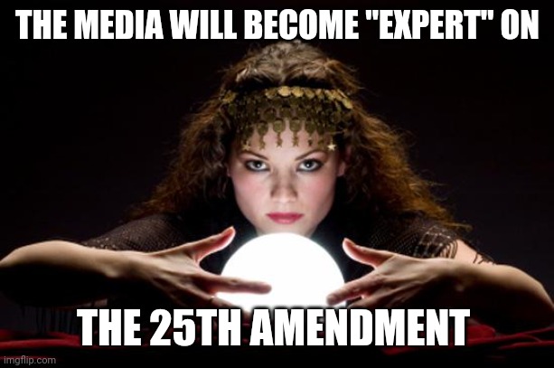 Democrats are the greatest political strategists.....but not on policy | THE MEDIA WILL BECOME "EXPERT" ON; THE 25TH AMENDMENT | image tagged in fortune teller | made w/ Imgflip meme maker